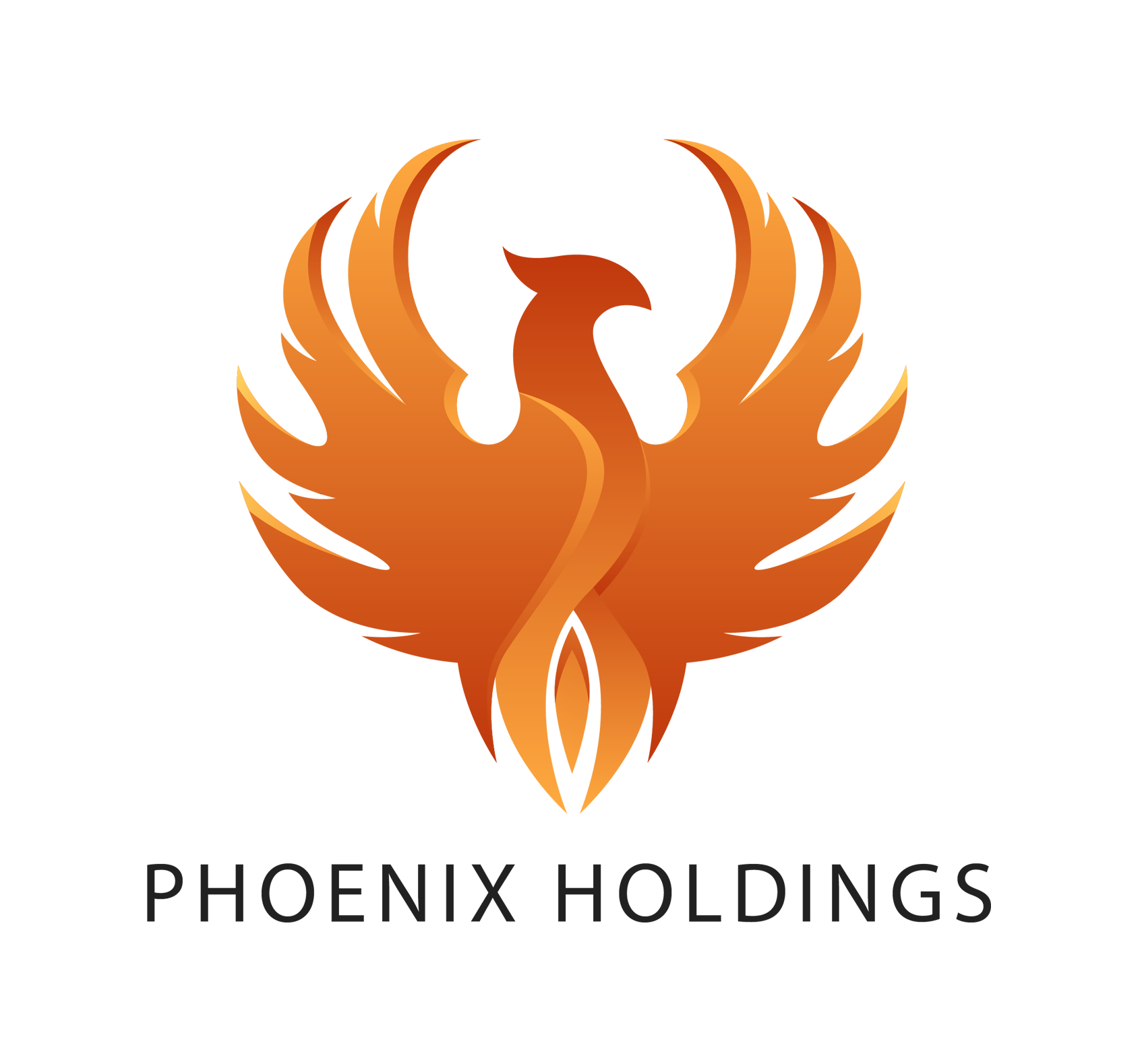 Phoenix Holdings